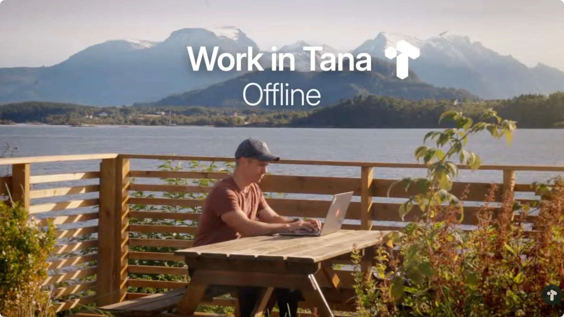 Tana desktop working offline